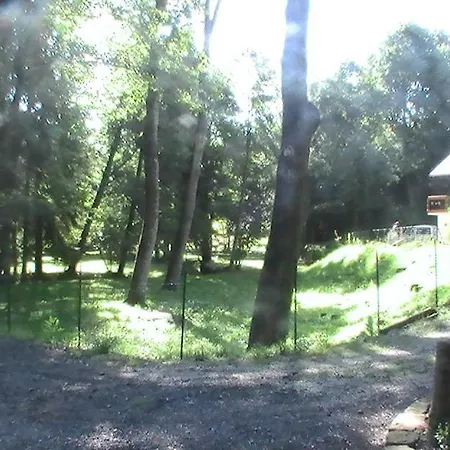 De La Baerenbach