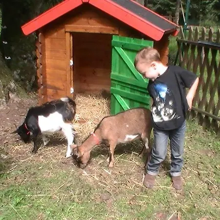 De La Baerenbach Holiday home *