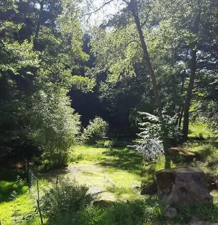 De La Baerenbach Holiday home