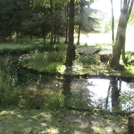 De La Baerenbach Haselbourg