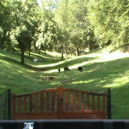 Holiday home De La Baerenbach *