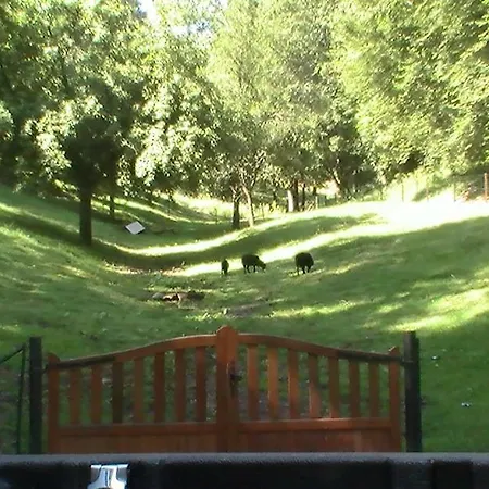 度假居 De La Baerenbach *