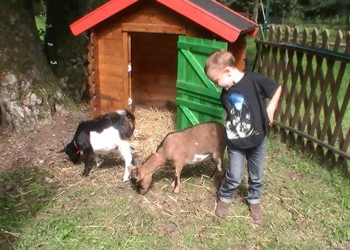 De La Baerenbach 펜션 *