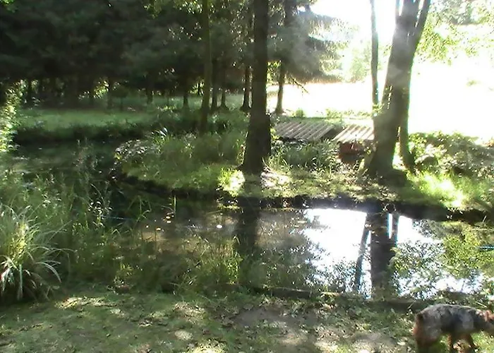 De La Baerenbach Haselbourg