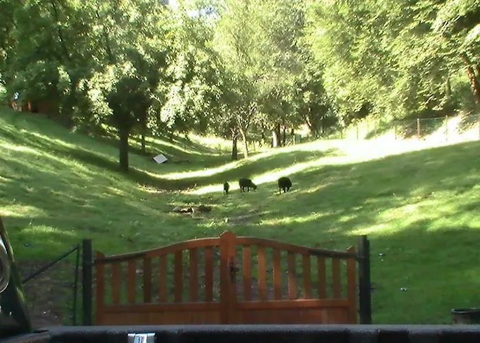 Semesterbostad De La Baerenbach *